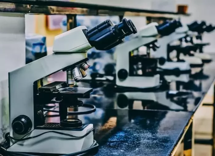 Scanning Acoustic Microscopy